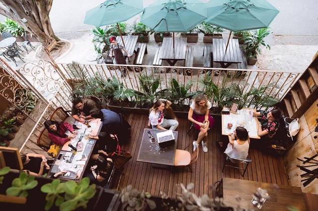 Florez Food Garden